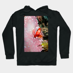 Black anemone fish (Z605/1712) Hoodie